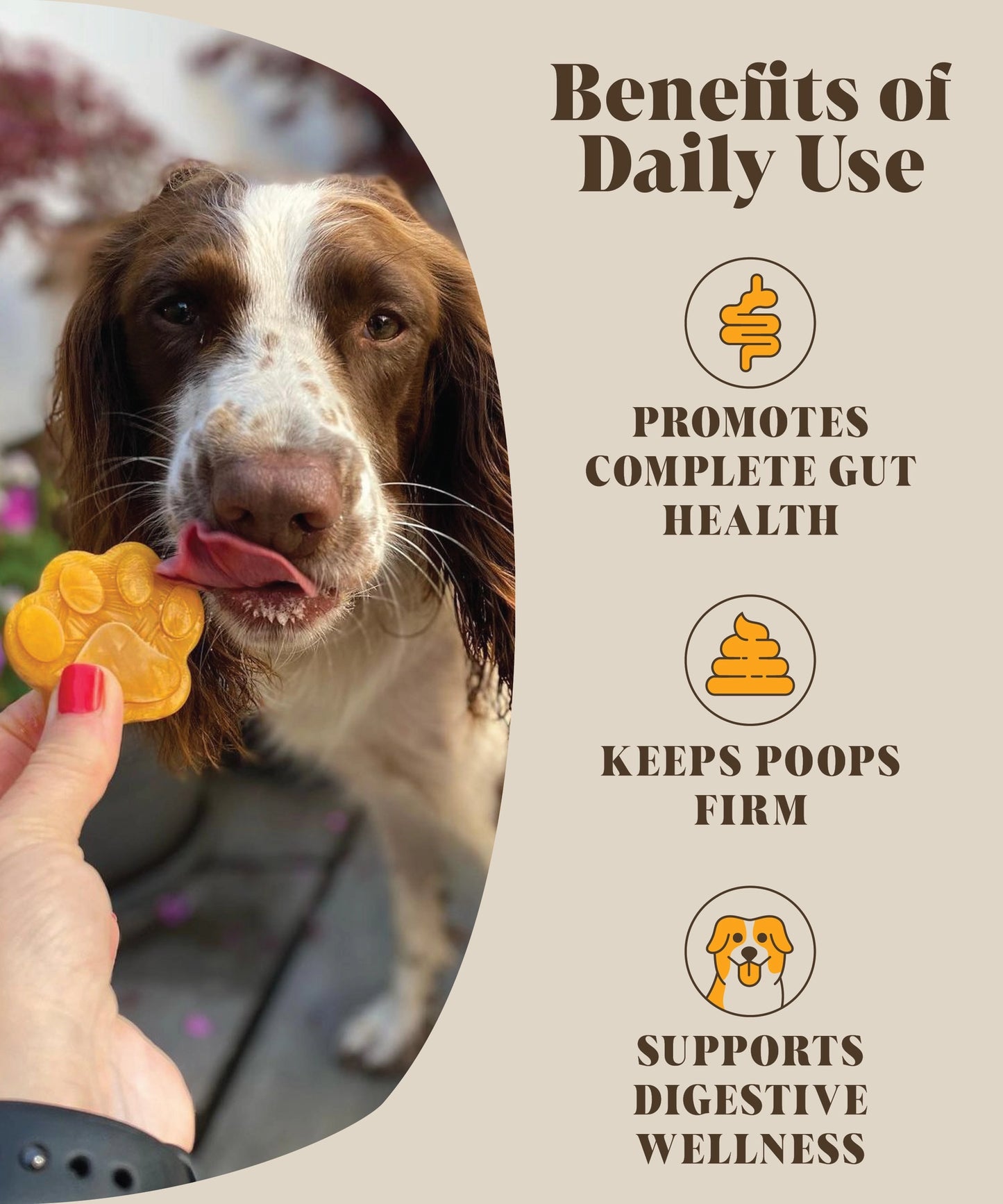 Hackney Dog House Pumpkin & Probiotics for Dogs, Real Pumpkin & Probiotics Powder, 45 servings!