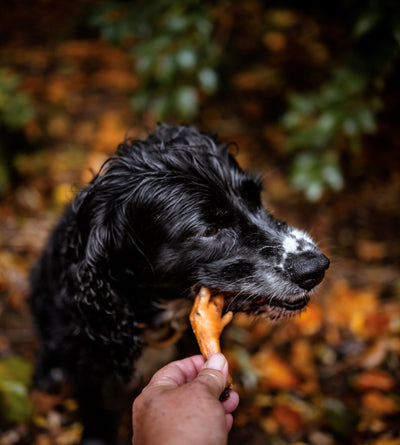 Chicken Feet Loose Natural Dog Treat | Pick and Mix Dog Treat - Anco Naturals