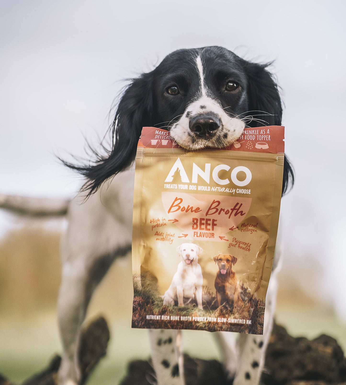 Beef Bone Broth for Dogs 120g Supplement for Dogs Anco A&G Pet Co Ltd
