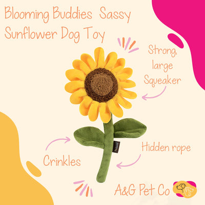 P.LA.Y. Blooming Buddies Sassy Sunflower