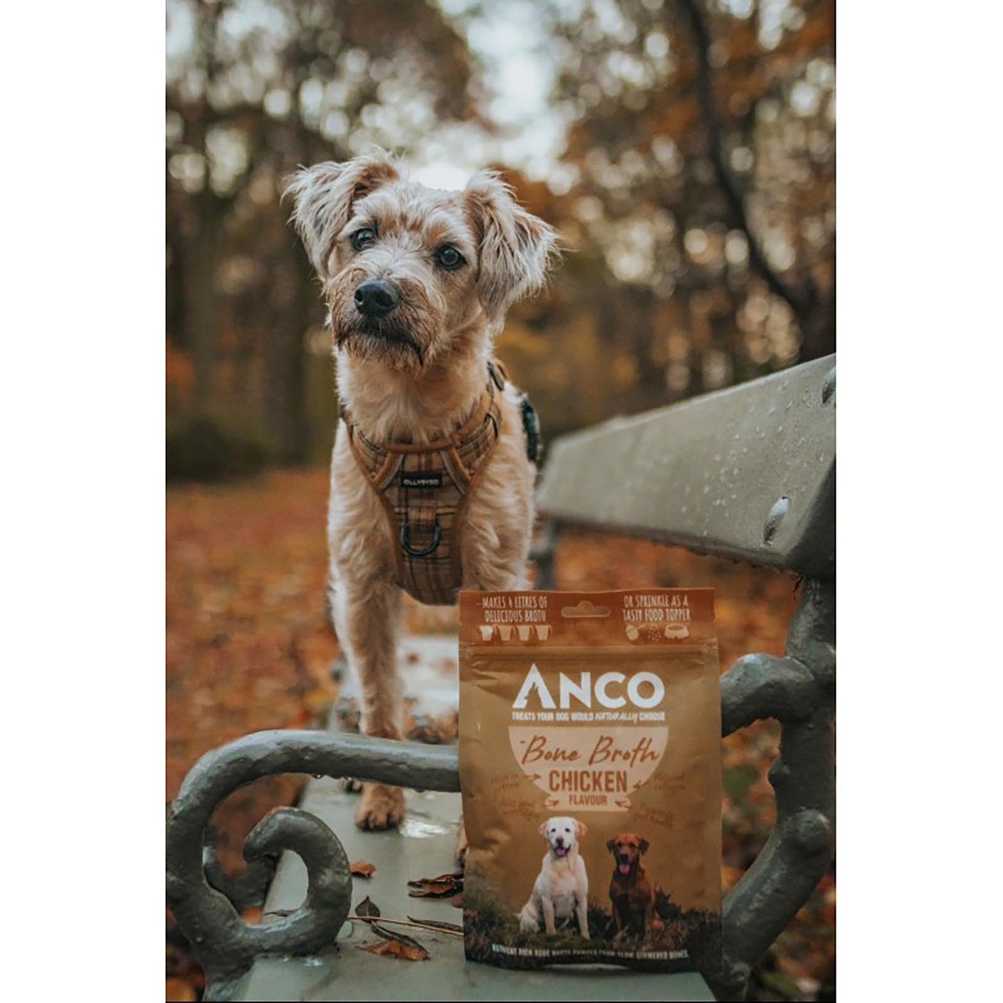 Chicken Bone Broth for Dogs 120g | Supplement for Dogs - Anco