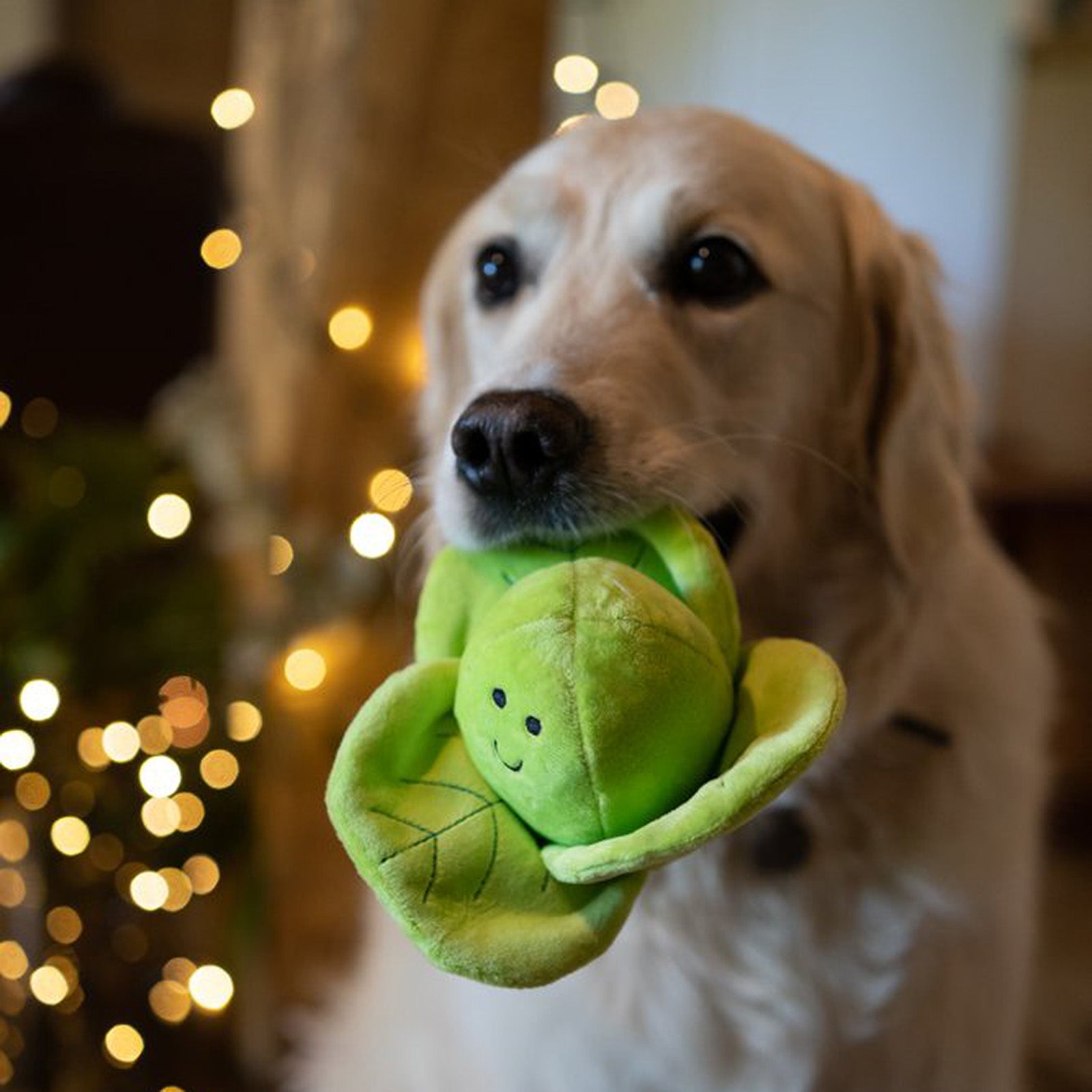 Petface Foodie Faces Fluffy Sprout Dog Toy A&G Pet Co