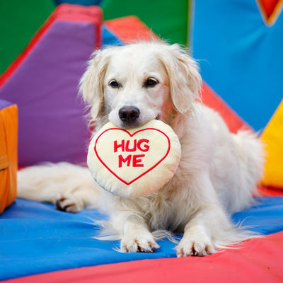 Petface Hug Me Plush Toy